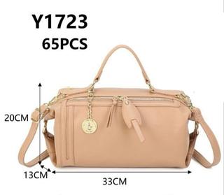 Y1723 NOVIDADES-PAVAO DE OURO